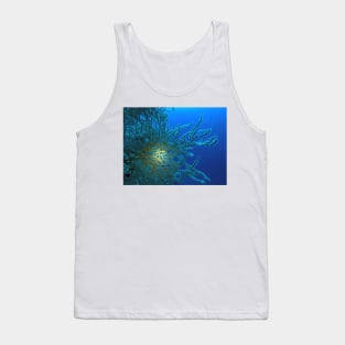 Red Sea Coral Reef Tank Top